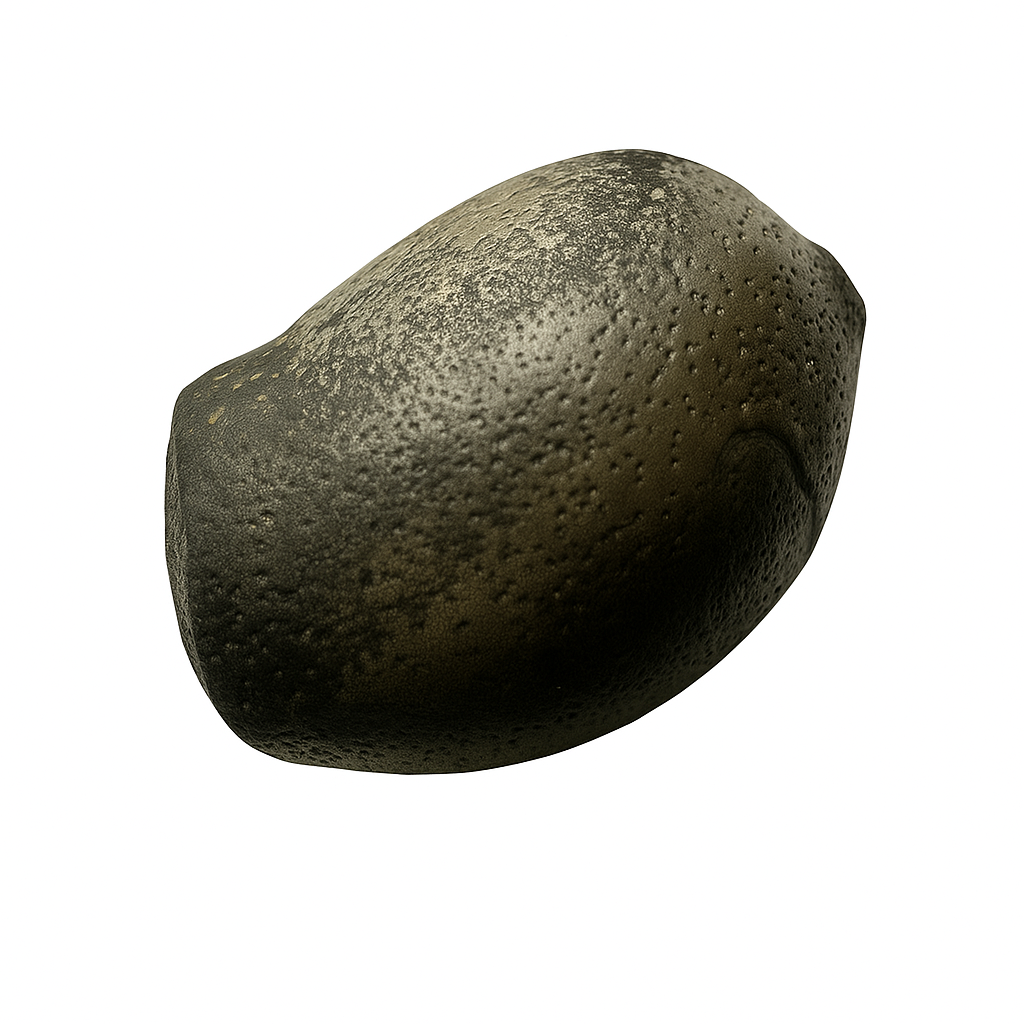 Mearnsiana bullosa "Mt. Apo" Eggs