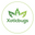 Xoticbugs logo