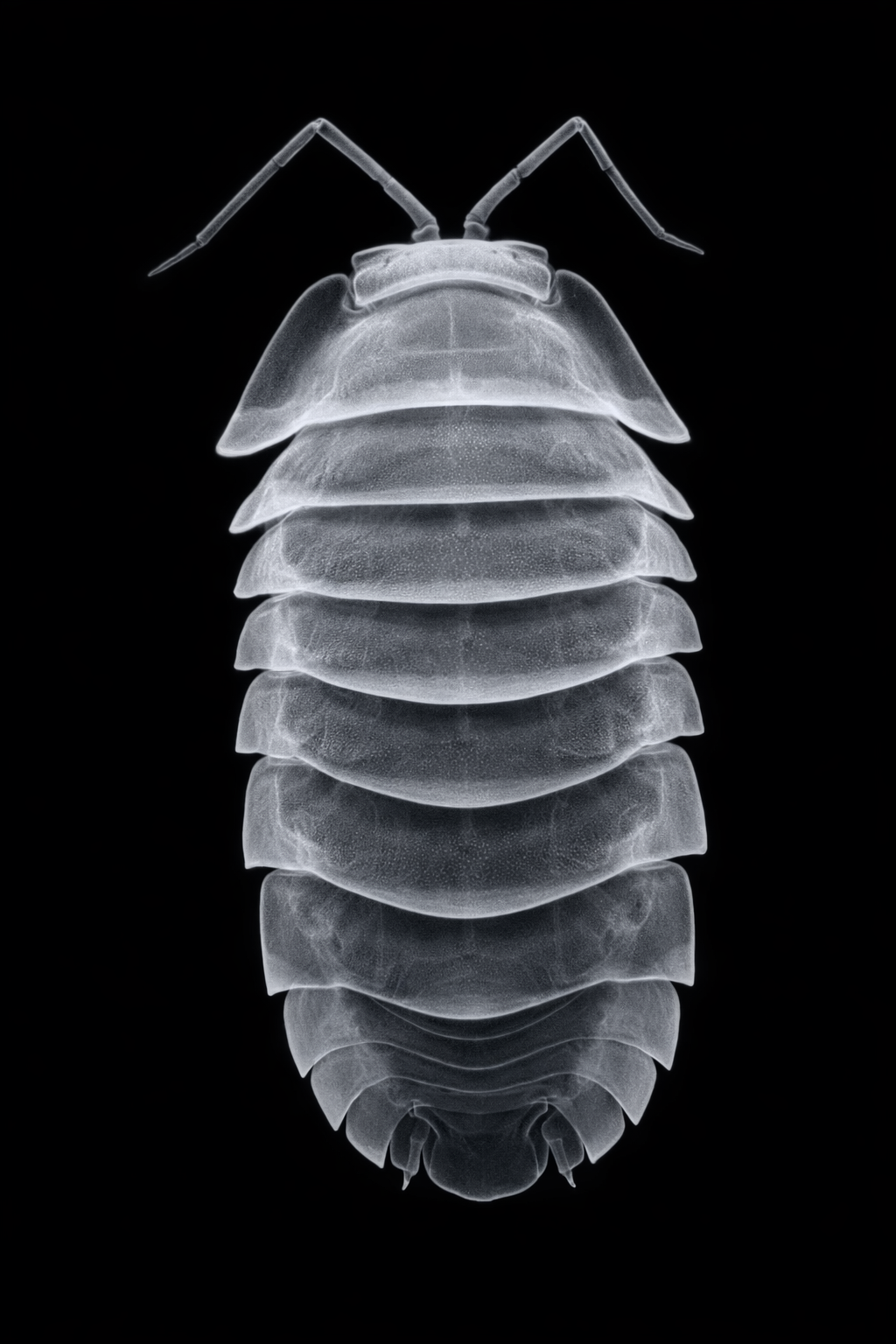 Top view
