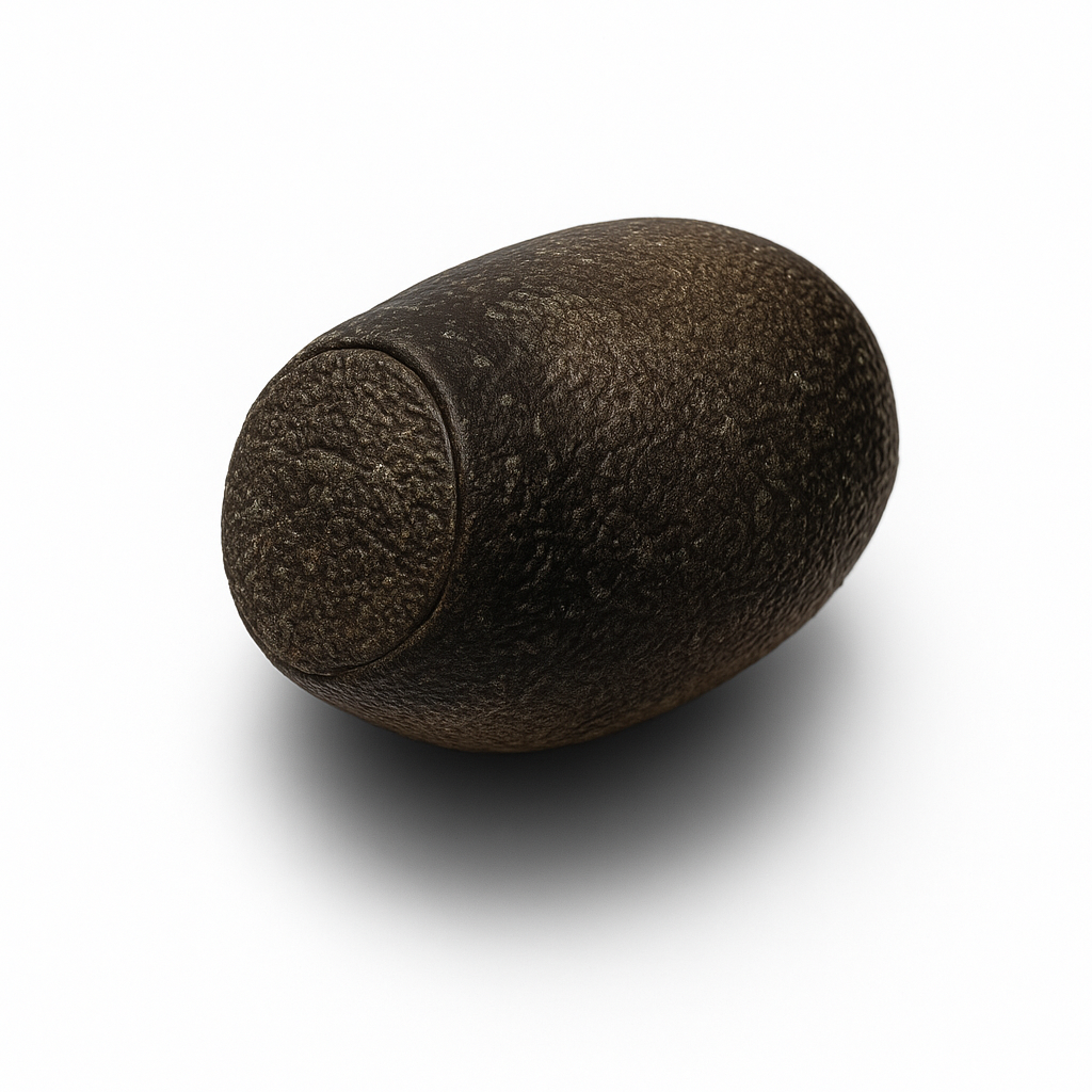 Mearnsiana bullosa "Mt. Apo" Eggs